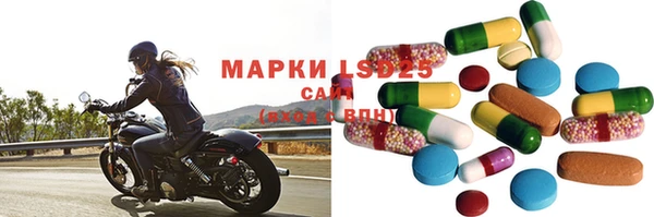прущие грибы Абинск