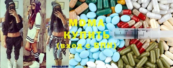 прущие грибы Абинск