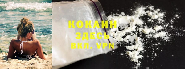 прущие грибы Абинск