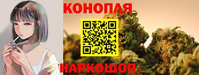 гидра Кандалакша