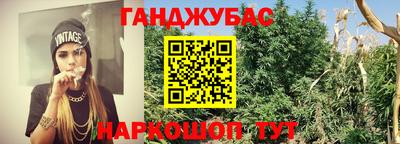 гидра Кандалакша