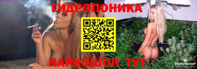 тгк Канаш